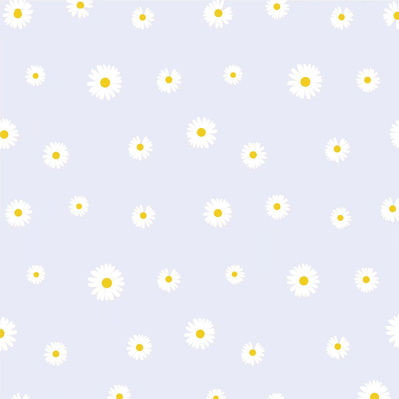 MYHC-18 Papier d'emballage de fleurs en film de perles de petite marguerite fraîche