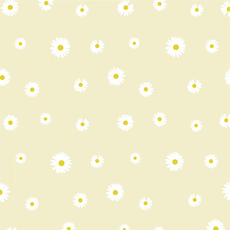 MYHC-18 Papier d'emballage de fleurs en film de perles de petite marguerite fraîche