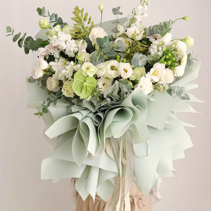 Papier d'emballage de fleurs translucides de couleur unie mate